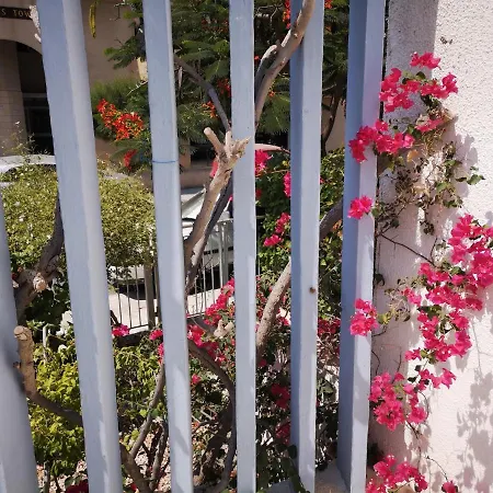 Entire With Patio And Retro Flair 別荘 リマソール